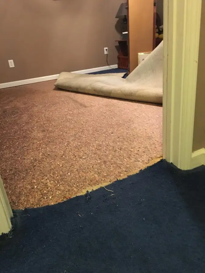 Carpet pad removal revealing water damage during Drying & Dehumidification in Bloomingdale