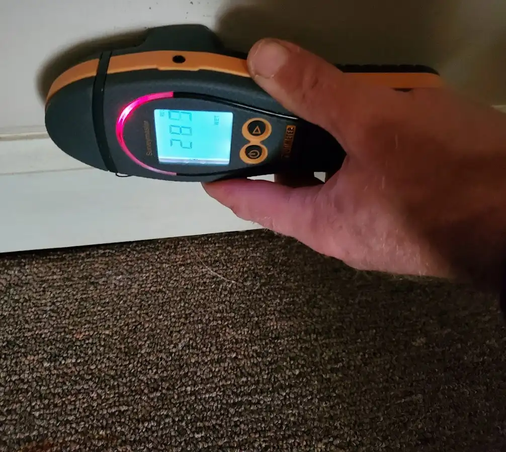 Moisture detection at baseboard during Burst Pipe Cleanup in Bloomingdale